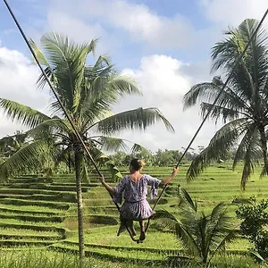 House 2 Bedroom Private Pool ** Ubud